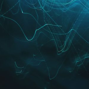 Nina Z Snixpabvfbo Unsplash.jpg